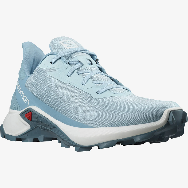 Salomon ALPHACROSS 3 W Crystl