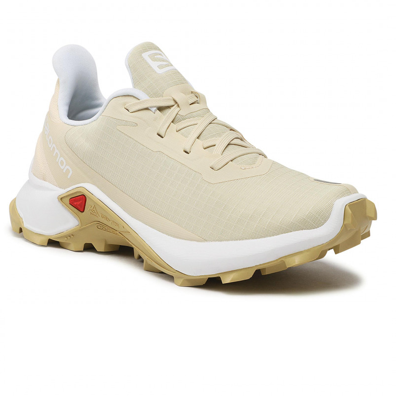 Salomon ALPHACROSS 3 W Frozen