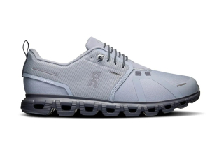 On Cloud 6 Waterproof Alloy/Wolf